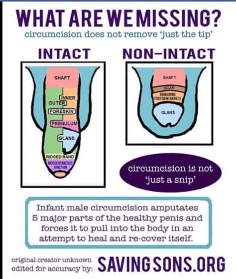 Circumcised vs. Uncircumcised: Whats the。